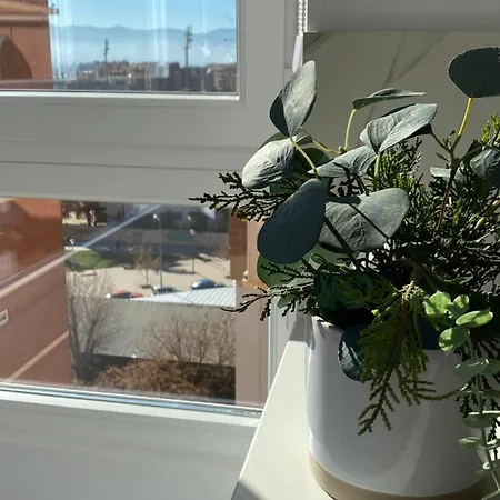 Homestay Palace - En Granada